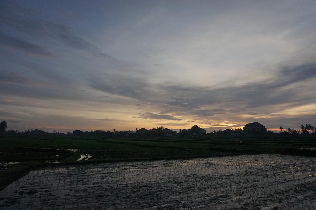 Pondok Uma Ubud Екстер'єр фото